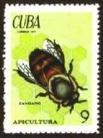 (1971-045) Марка Куба "Трутень"    Пчеловодство III O