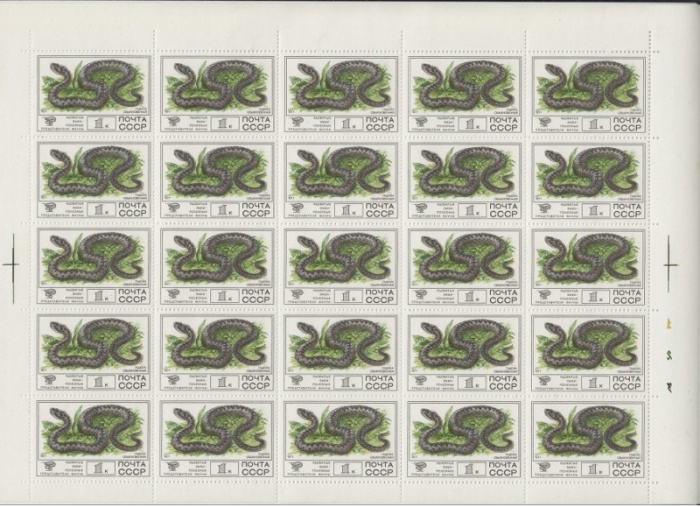 1977-099  Листы (100 шт по 25м 5х5) СССР Гадюка обыкновенная  Фауна III O
