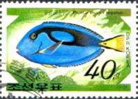 (1991-078) Марка Северная Корея "Голубой хирург"   Выставка ФИЛАНИППОН-91, Токио III Θ