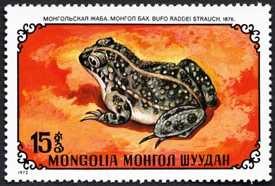 (1972-047) Марка Монголия &quot;Монгольская жаба&quot;    Рептилии III O