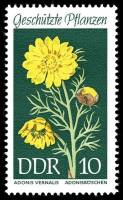 (1969-025) Марка Германия (ГДР) "Адонис весенний"    Растения под защитой III Θ