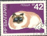 (1983-062) Марка Болгария "Колорпойнт персидский"   Кошки III Θ