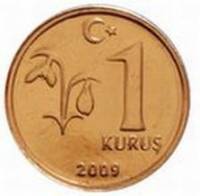 () Монета Турция 2009 год 1 куруш ""  Латунь  UNC