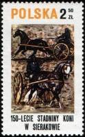 (1980-003) Марка Польша "Рысаки"    150 лет коневодства в Серакове III O