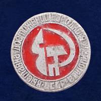 28829\127730 Значок "Выставка Достижений Народного Хозяйства СССР"