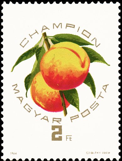 (1964-063) Марка Венгрия &quot;Чемпион&quot; ,  III O