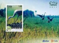 (№290) Блок марок Куба 2011 год "Канадский Журавль grus канаденсис", Гашеный
