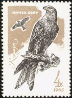 1965-136 Марка СССР Коршун   Хищные птицы II O
