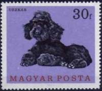 (1967-034) Марка Венгрия "Пудель"    Собаки III Θ
