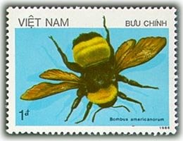 (1987-029a) Марка Вьетнам &quot;Американский шмель&quot;  Без перфорации  Насекомые III Θ