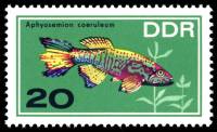 (1966-075) Марка Германия (ГДР) "Афиосемионы"    Аквариумные рыбки III Θ