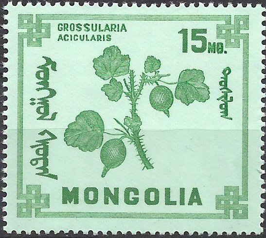 (1968-011) Марка Монголия "Крыжовник игольчатый"    Ягоды II &Theta;