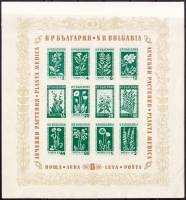 (1953-042-053) Блок Болгария "Лекарственные растения Болгарии"   Лекарственные растения Болгарии (2)