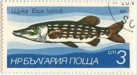 (1983-003) Марка Болгария "Щука "   Пресноводная рыба II Θ