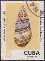 (1973-084) Марка Куба "Триннидадский"    Раковины молюсков III Θ