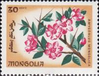 (1966-030) Марка Монголия "Миндаль"    Эндемические цветы III O