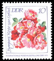 (1972-052) Марка Германия (ГДР) "Розы (2)"  перфорация 13½:13  Выставка роз III O
