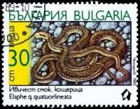 (1989-091) Марка Болгария "Четырёхполосый лазающий полоз"   Змеи II Θ