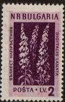(1953-040) Марка Болгария "Наперстянка пурпурная"   Лекарственные растения Болгарии (1) III O