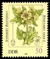 (1982-034) Марка Германия (ГДР) "Белена чёрная"    Ядовитые растения III O