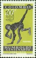(№1961-979) Марка Колумбия 1961 год "Whitebellied Ейтелес Паук обезьяна belzebuth", Гашеная