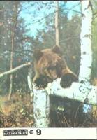 Журнал Юный натуралист 1976 № 9 Москва Мягкая обл. 48 с. С цв илл