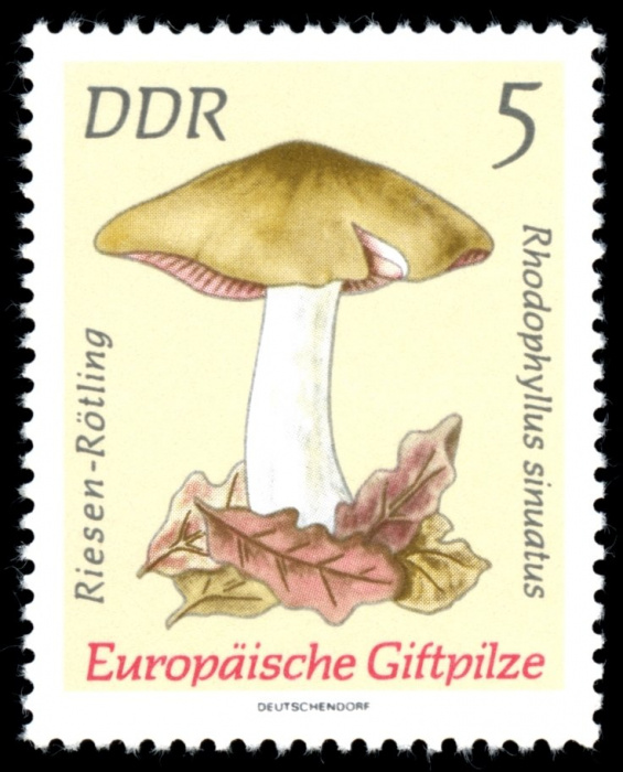 (1974-028) Марка Германия (ГДР) &quot;Гигантская краснуха&quot;    Ядовитые грибы III Θ