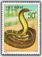 (1989-047a) Марка Вьетнам "Королевская кобра"  Без перфорации  Ядовитые змеи III Θ