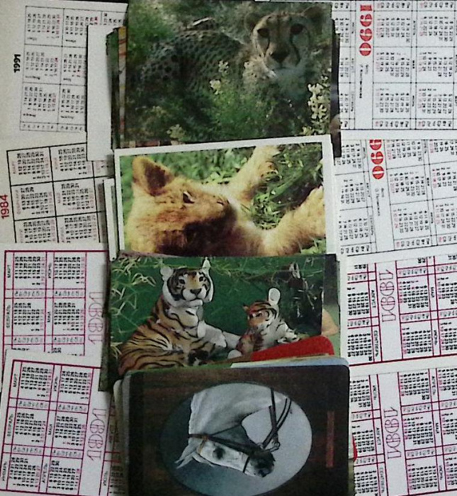 Набор календарей &quot;Животные&quot;, 45 шт., СССР,  80-е\90-е г.