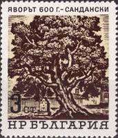 (1964-086) Марка Болгария "600-летний явор"   Вековые деревья II Θ
