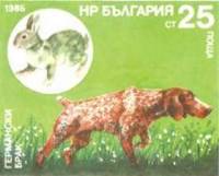 (1985-123) Марка Болгария "Немецкий спаниель"   Охотничья собака III Θ