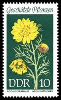 (1969-025) Марка Германия (ГДР) "Адонис весенний"    Растения под защитой II Θ
