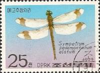 (1977-071) Марка Северная Корея "Стрекоза перевязанная"   Бабочки II Θ