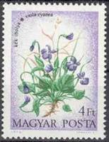 (1973-060) Марка Венгрия "Фиалка"    Полевые цветы II Θ