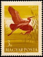 (1959-032) Марка Венгрия "Каравайка"    Водоплавающие птицы II Θ