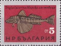 (1965-037) Марка Болгария "Тригла (морской петух)"   Рыбы Чёрного моря II Θ