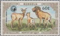 (1987-034) Марка Монголия "Аргали с ягненком"    Горные бараны III O