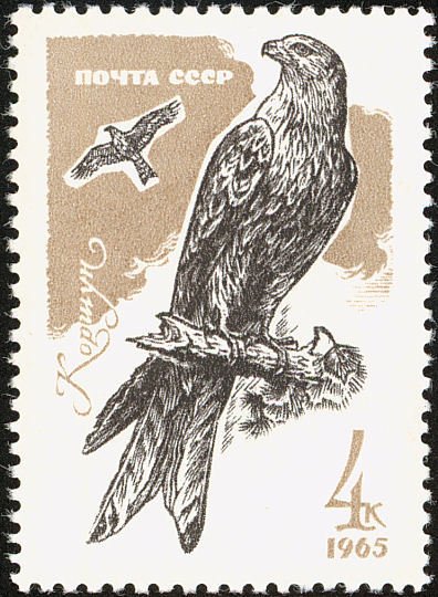 1965-139 Марка СССР Орёл-бородач   Хищные птицы II O