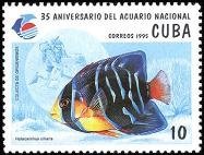 (№3811) Марка Куба 1995 год "Королева Анджелфиш Holocanthus ciliaris", Гашеная