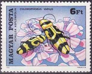 (1980-006) Марка Венгрия "Усач изменчивый"    Насекомые, опыляющие цветы II &Theta;