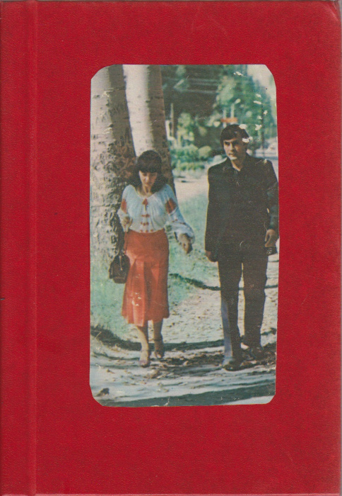 Книга &quot;Молодым супругам&quot; Н. М. Ходаков Москва 1980 Твёрдая обл. 168 с. Без иллюстраций