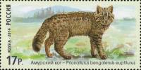 2014-077 Марка Россия Амурский кот  Фауна России. Дикие кошки III O