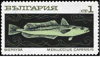 (1969-099) Марка Болгария "Мерлуза"   Океанское рыболовство III Θ