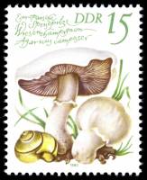 (1980-084) Марка Германия (ГДР) "Шампиньон обыкновенный"    Грибы III Θ