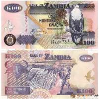 Банкнота Замбия 2009 год 100 квача Орлан-крикун   UNC