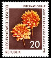 (1961-049) Марка Германия (ГДР) "Георгины"    Выставка цветов II Θ
