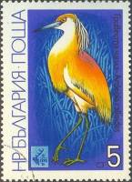 (1981-026) Марка Болгария "Жёлтая цапля"   Международная охотничья выставка EXPO ' 81 II Θ