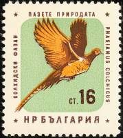 (1961-025) Марка Болгария "Фазан обыкновенный"   Охрана природы. Птицы II Θ