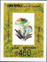 (№1991-6) Блок марок Йеменская Республика 1991 год "Stropharia аегидіпоѕа", Гашеный