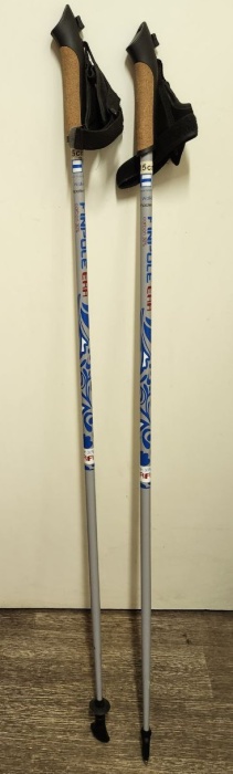 Палки для скандинавской ходьбы Finpole Era 115 см (сост. на фото)